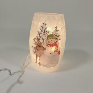 Stony Creek Prelit Frosted Snowman deer Cardinal Winter Scene Glass Vase Lights
